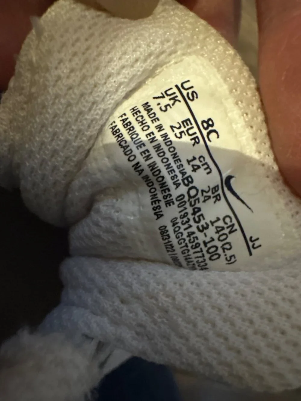 Nike Toddler Court Borough Low 2 (TDV) 